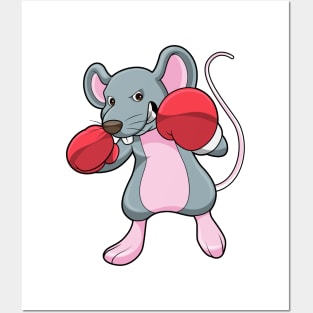 Rat at Boxing with Boxing gloves Posters and Art